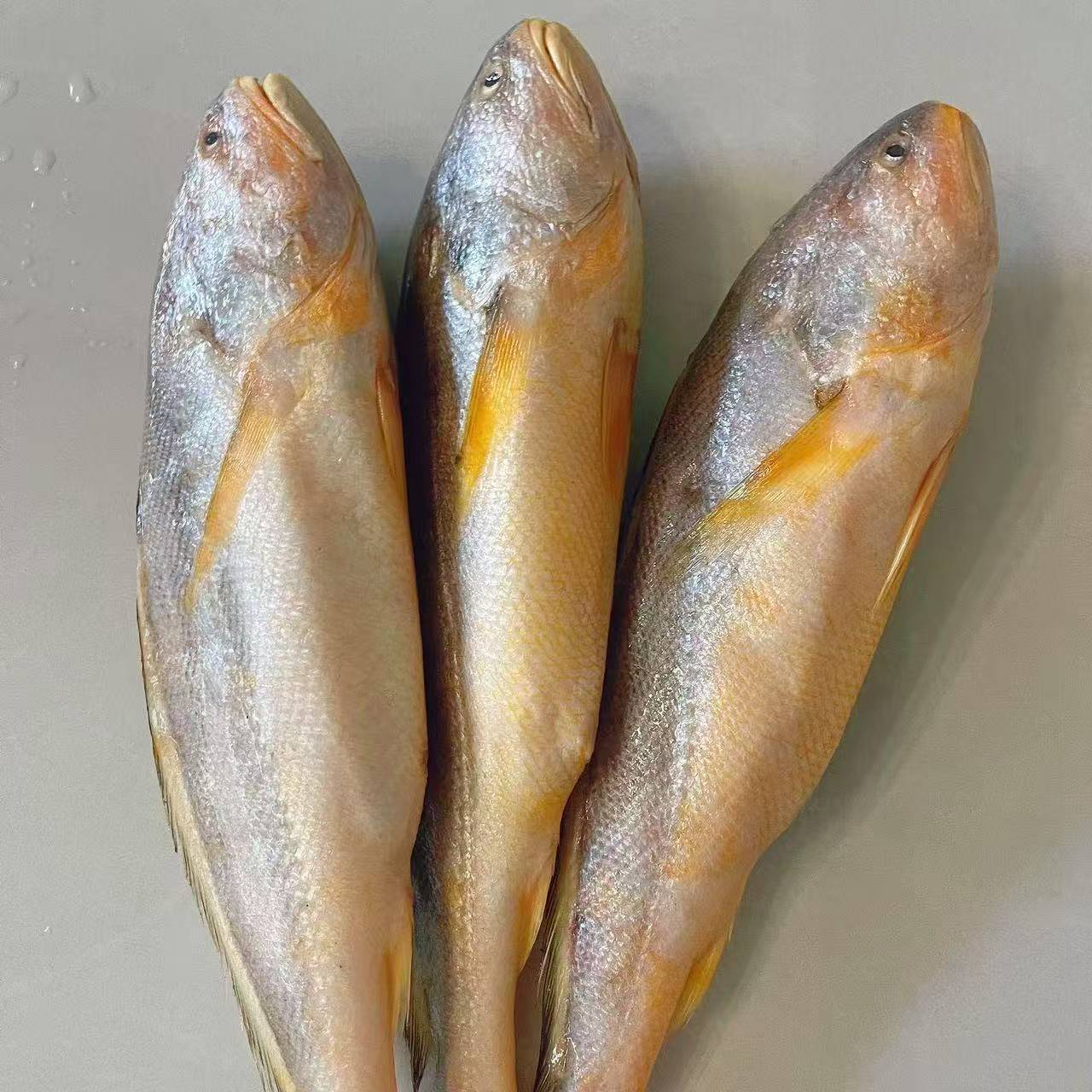 肉质鲜嫩野生海黄鱼 每条0.9-1.1斤左右顺丰冷链直发到手5条 W