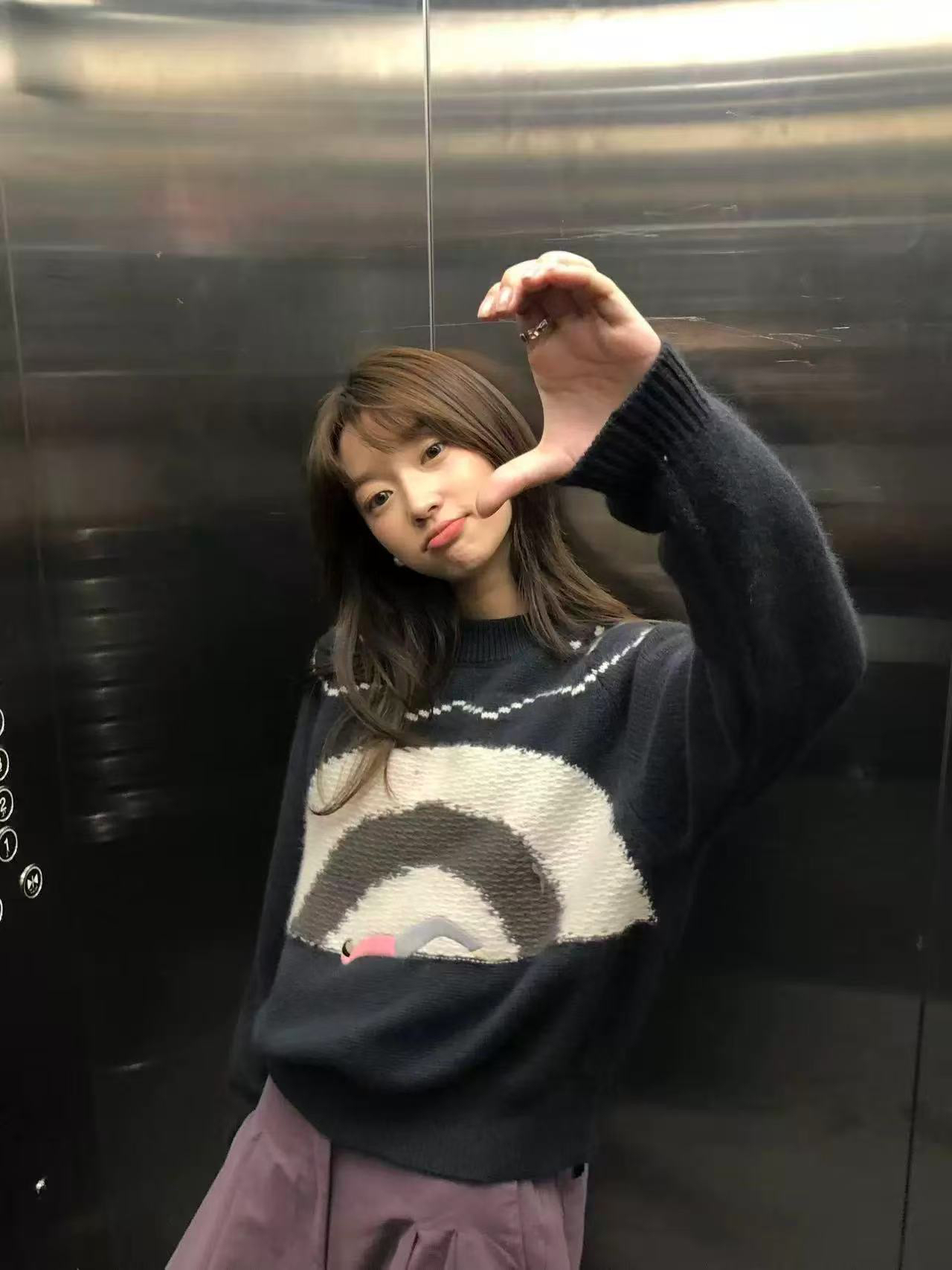 宠爱-韩代款毛衣上衣2539