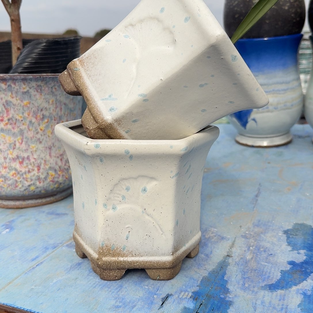 口径 16 高度 15 正品一对