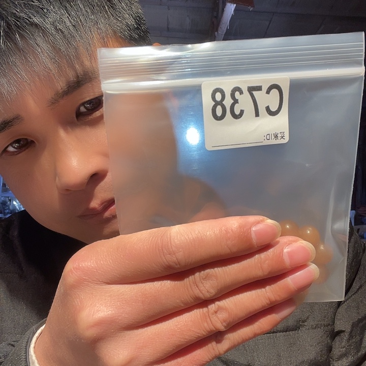 大叶紫檀（黑酸枝木类）738