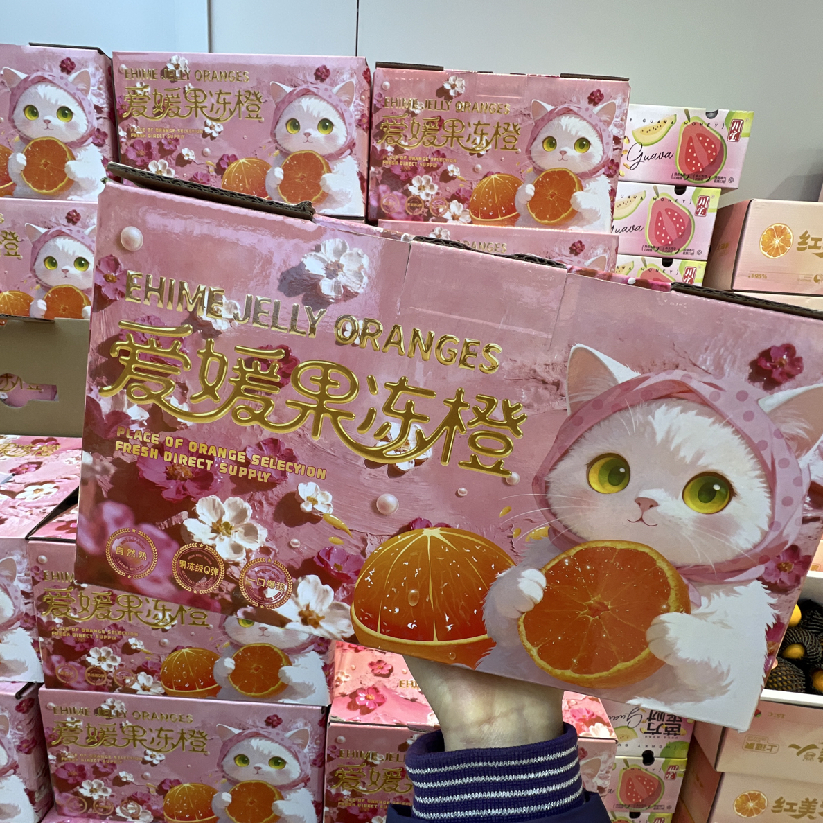 小猫爱媛果冻橙（箱）约5斤