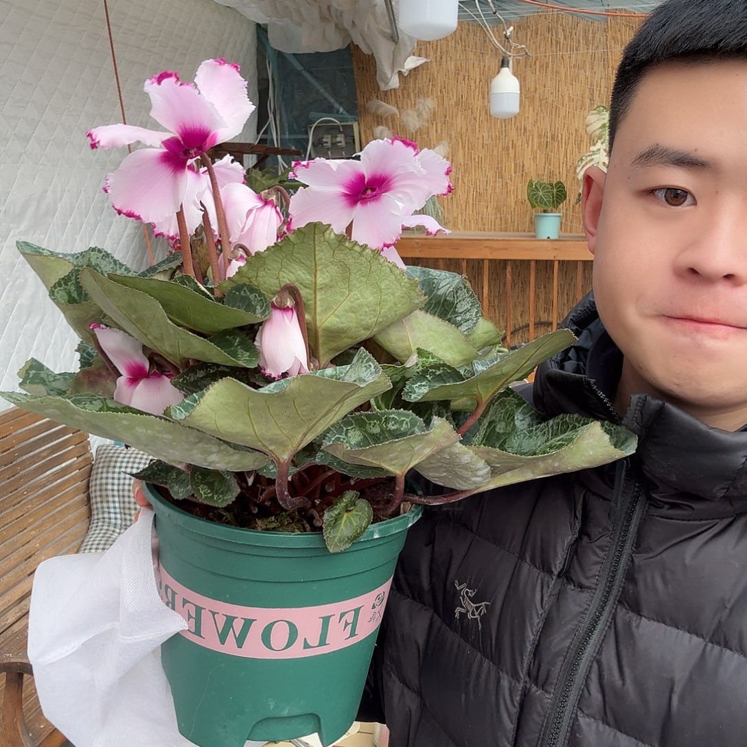 完全开放维多利亚3