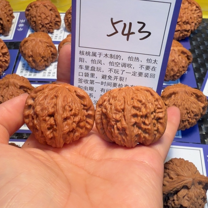 文玩核桃把件543白狮子39