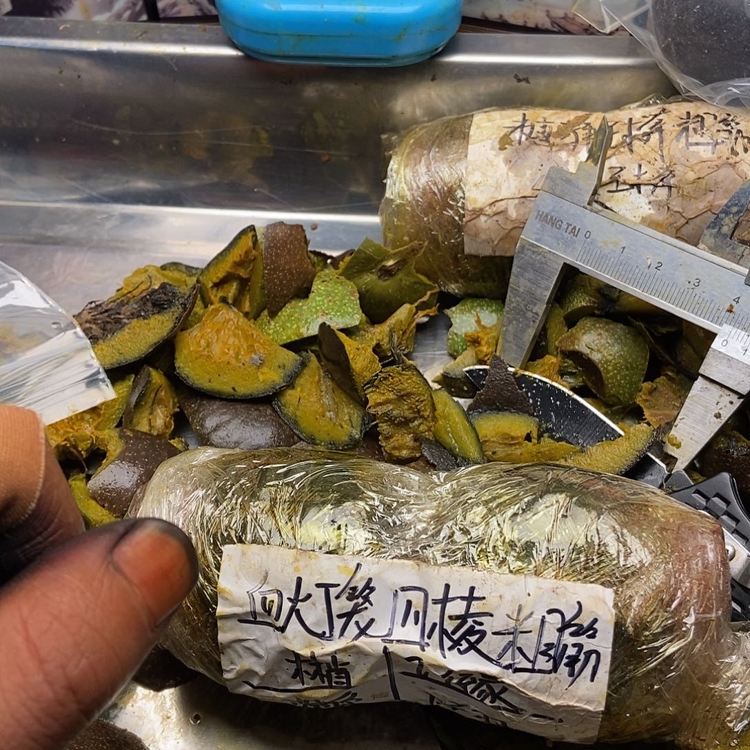 森***技大叶紫檀（黑酸枝木类）
