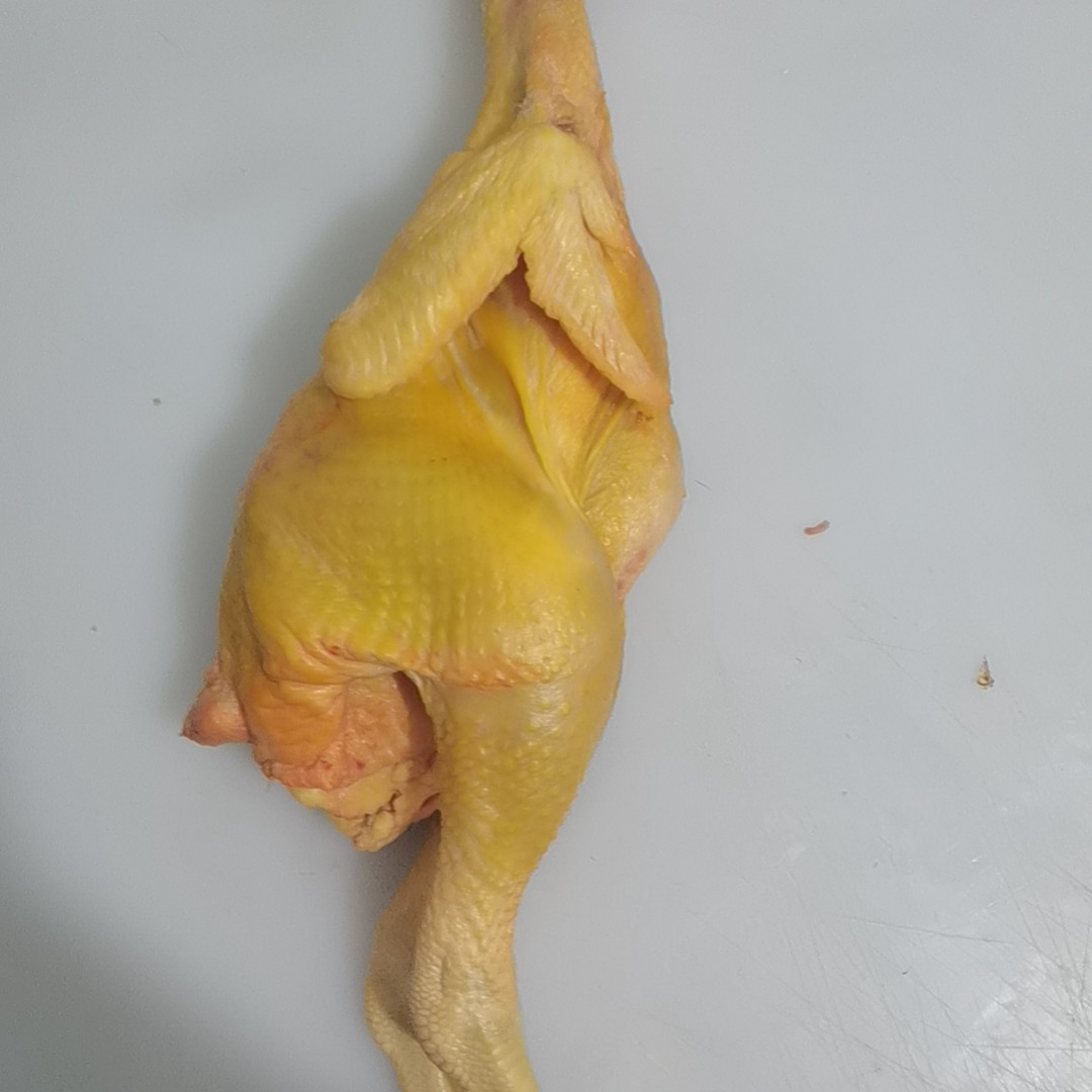 林下溜达大公鸡5斤半左右