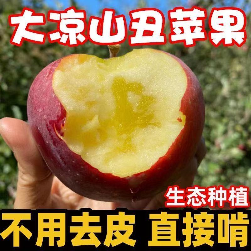 【严选精品】四川大凉山盐源老树果富士丑苹果精选品质脆甜现摘多汁