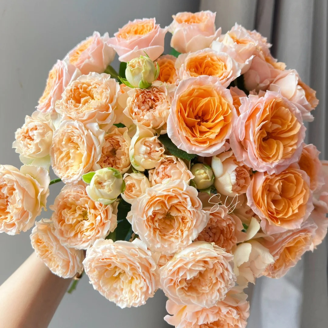 【米奇】精选米奇多头玫瑰家居摆放插花云南鲜花优质鲜切花