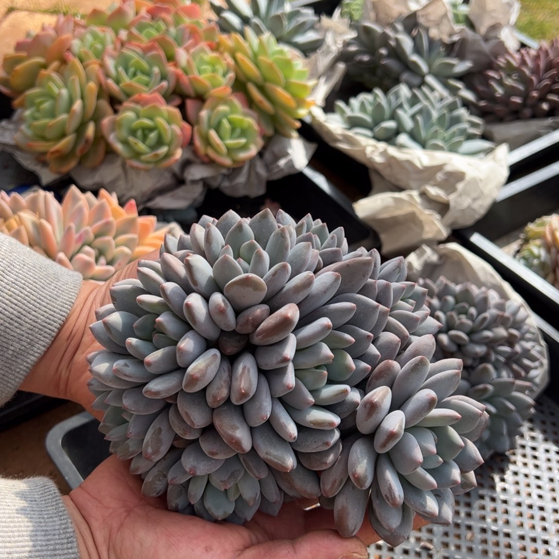 12111111111111111111111