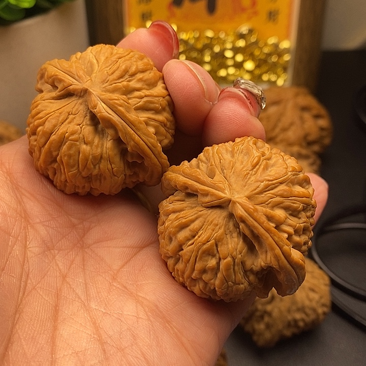 龙脊菩提吊坠白师子42