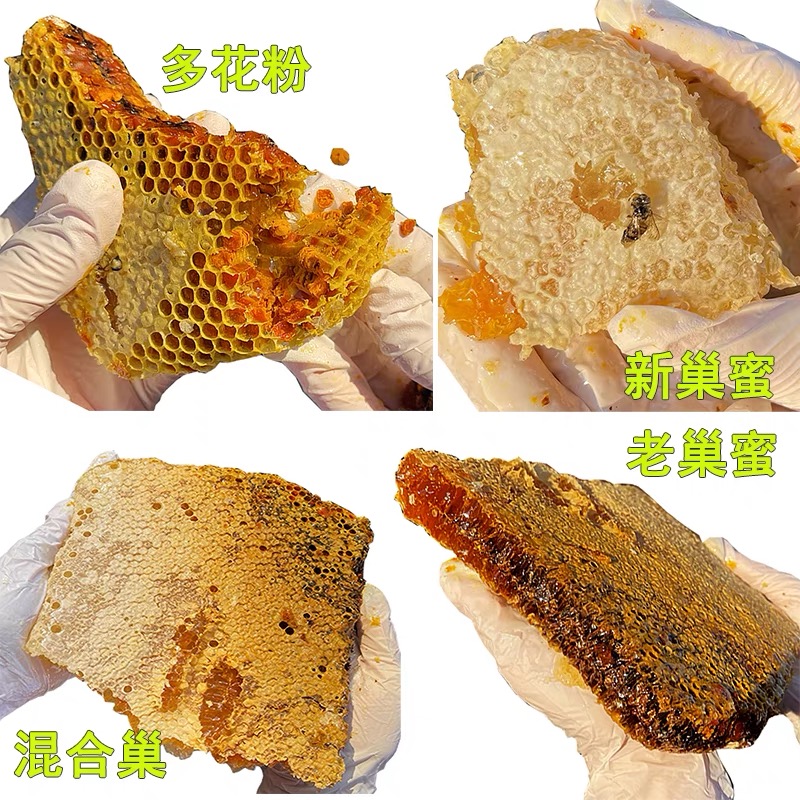 5斤野生土蜂巢蜜