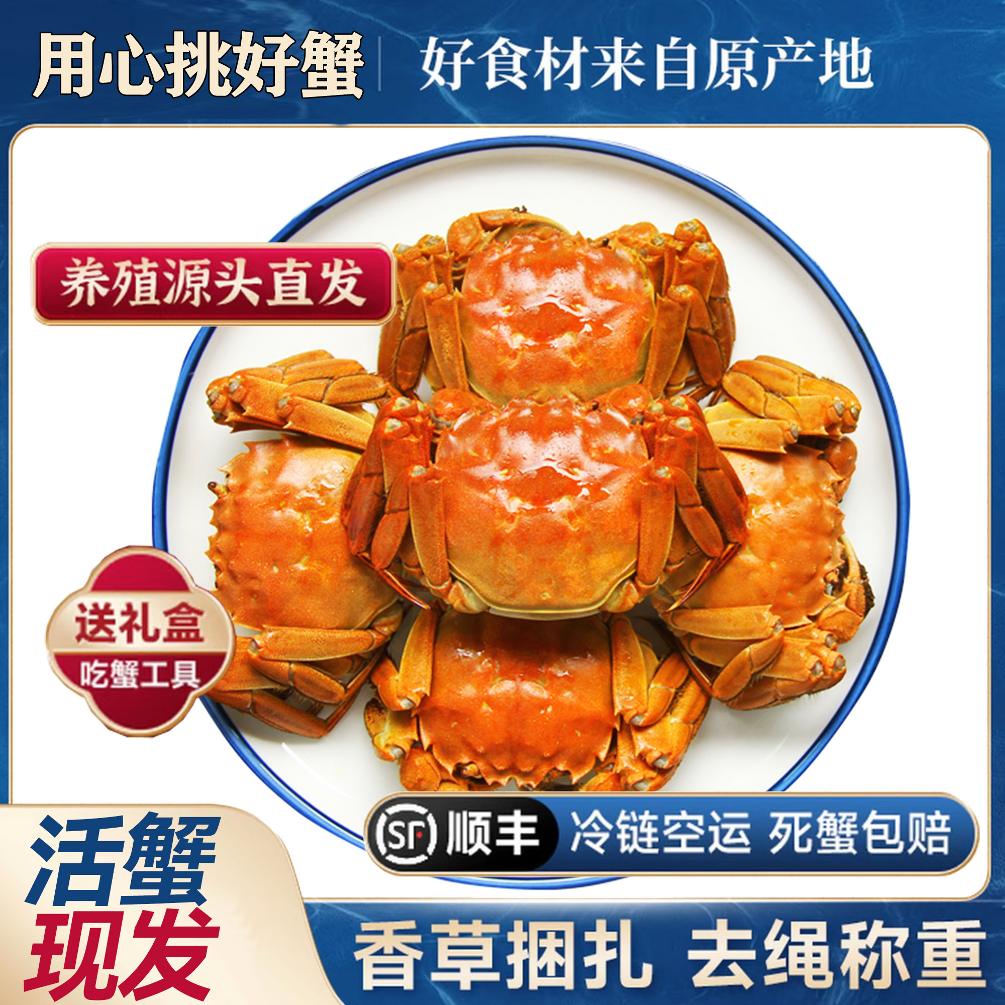 【江苏活蟹】大闸蟹公4.5-4.2两 母3.5-3.2两6-10只礼盒装顺丰包邮