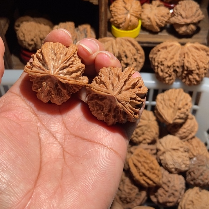 飞***觉核桃苹果园三棱尺寸38全品