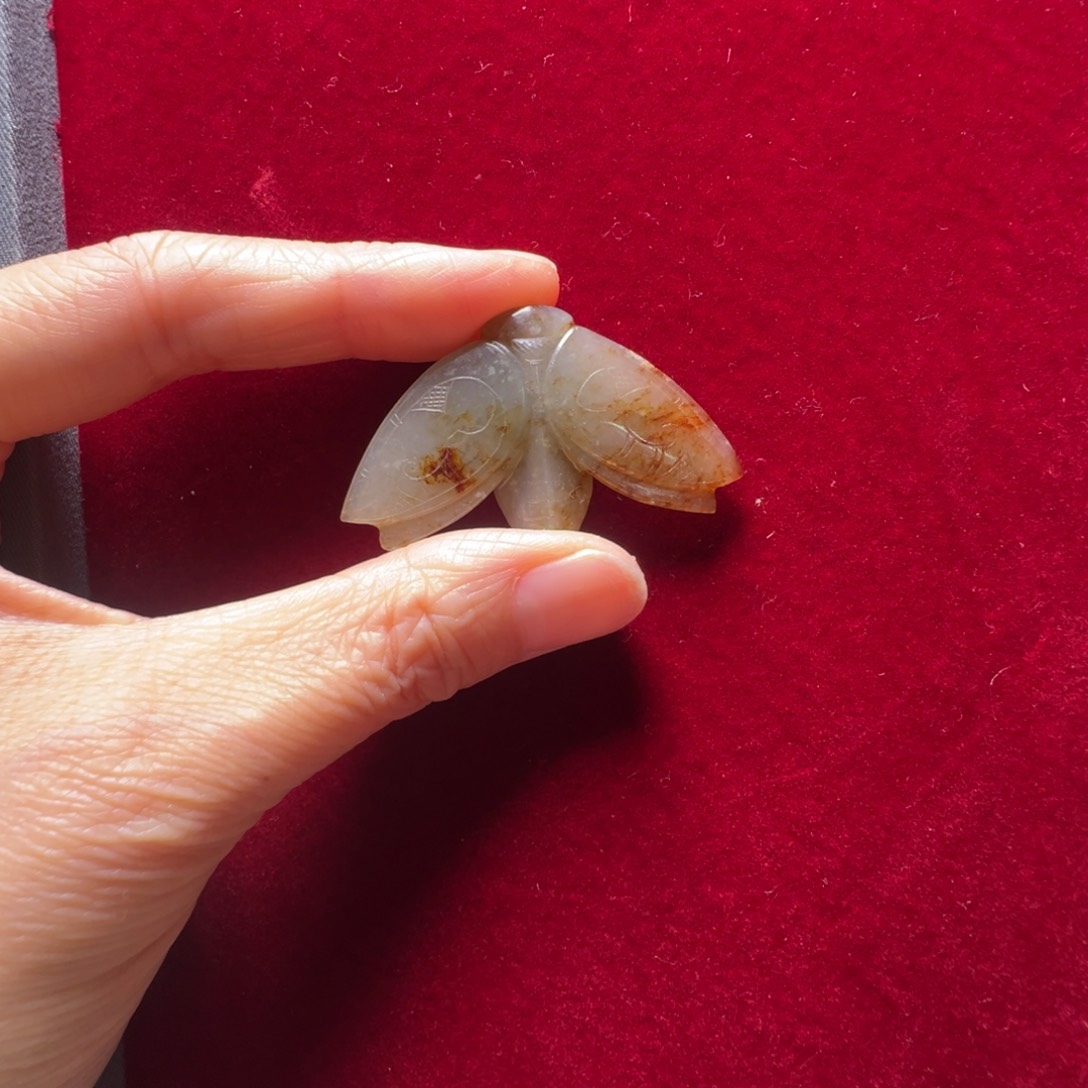 木***头和田玉（白玉）未镶嵌挂件