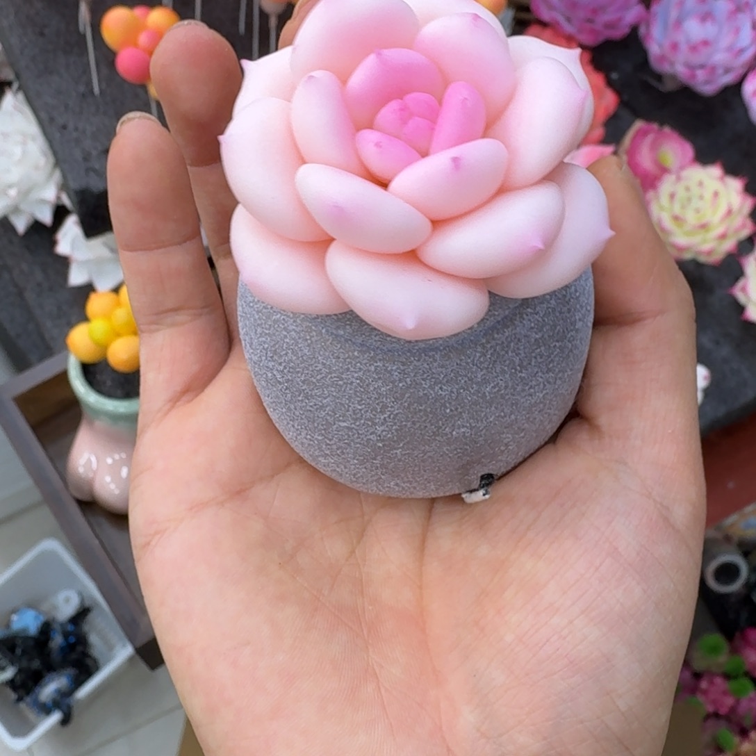 树脂8号带盆盆莫莫莫