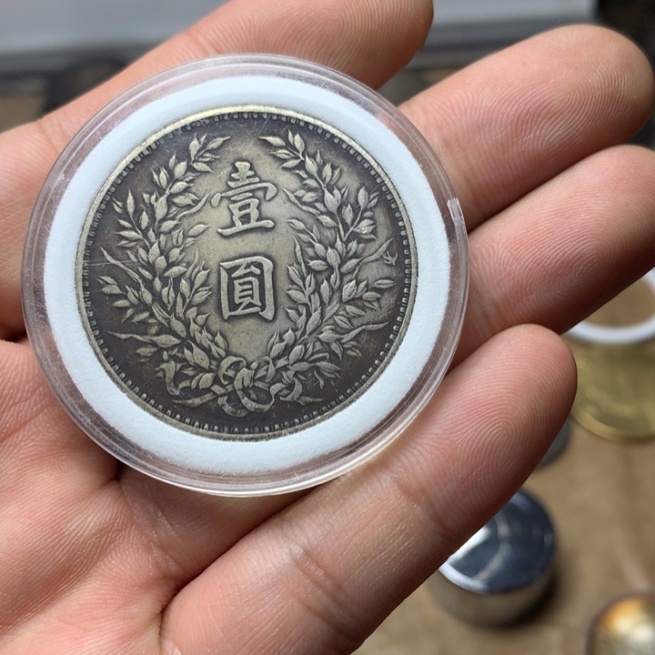 陶直接去拍大头龙洋