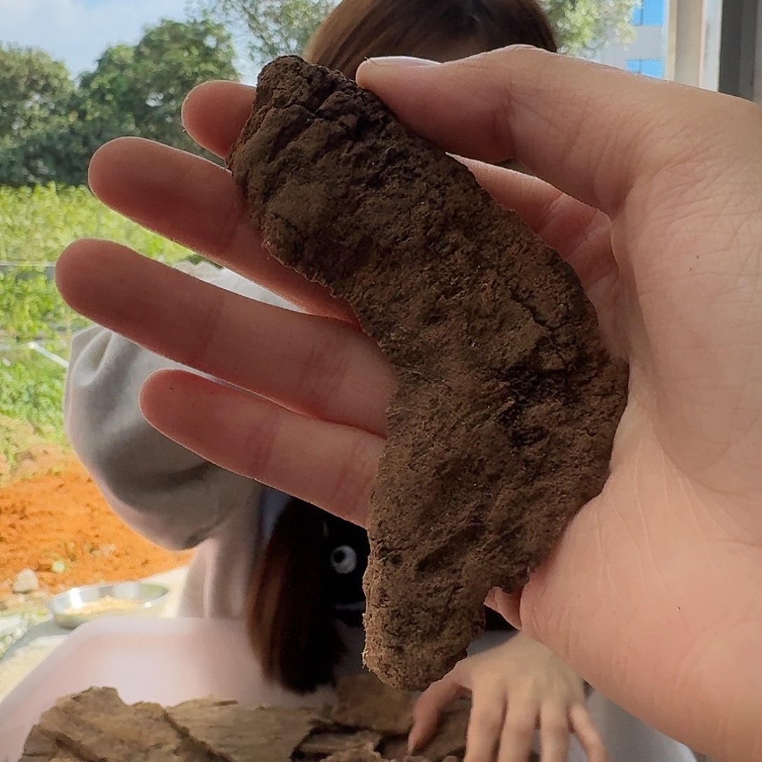 沉香沉香碎屑6号海南铁头块料5克