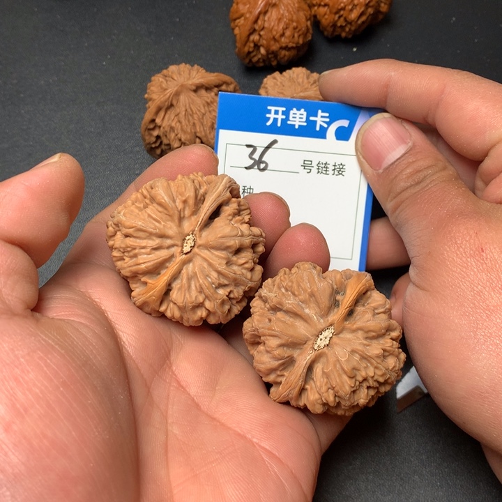 文玩核桃把件43粗筋36