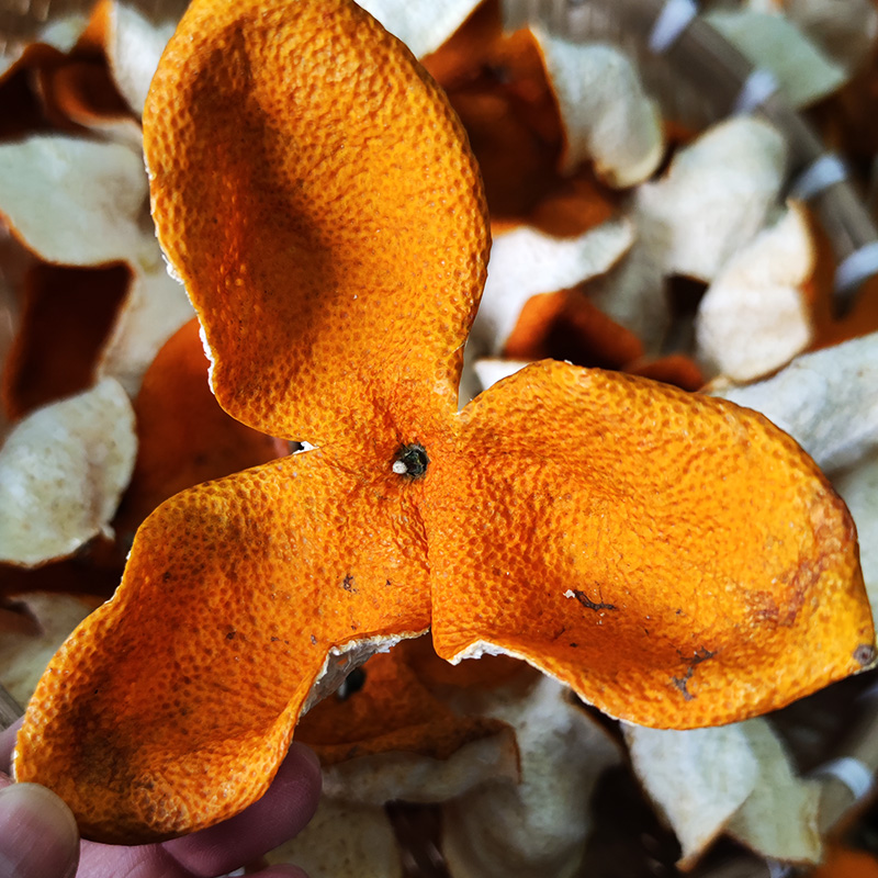 2025年14年老树驳枝冬后大红皮 新会三江陈皮 12月21采摘