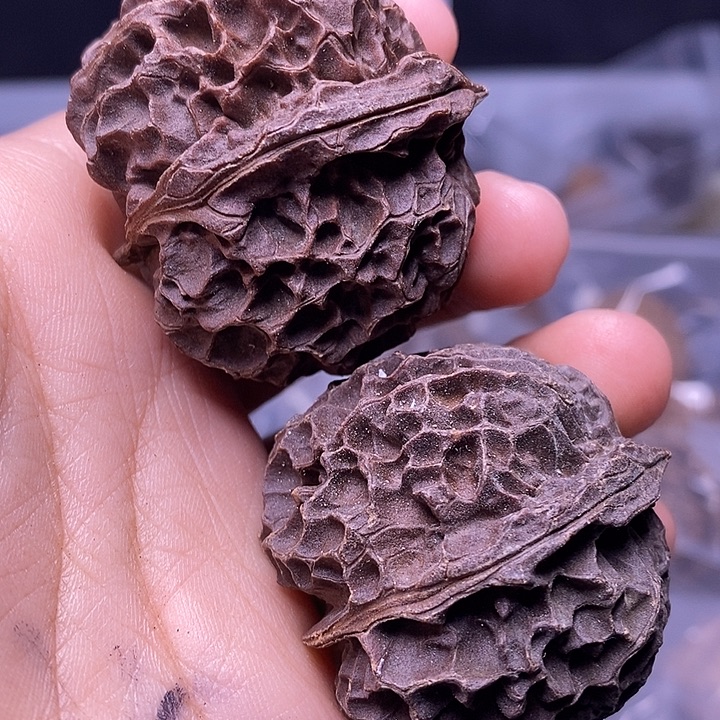 文玩核桃把件  180