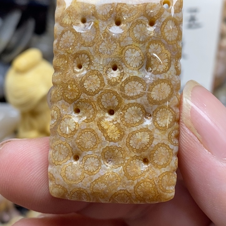 硅化珊瑚（珊瑚玉）未镶嵌颈饰