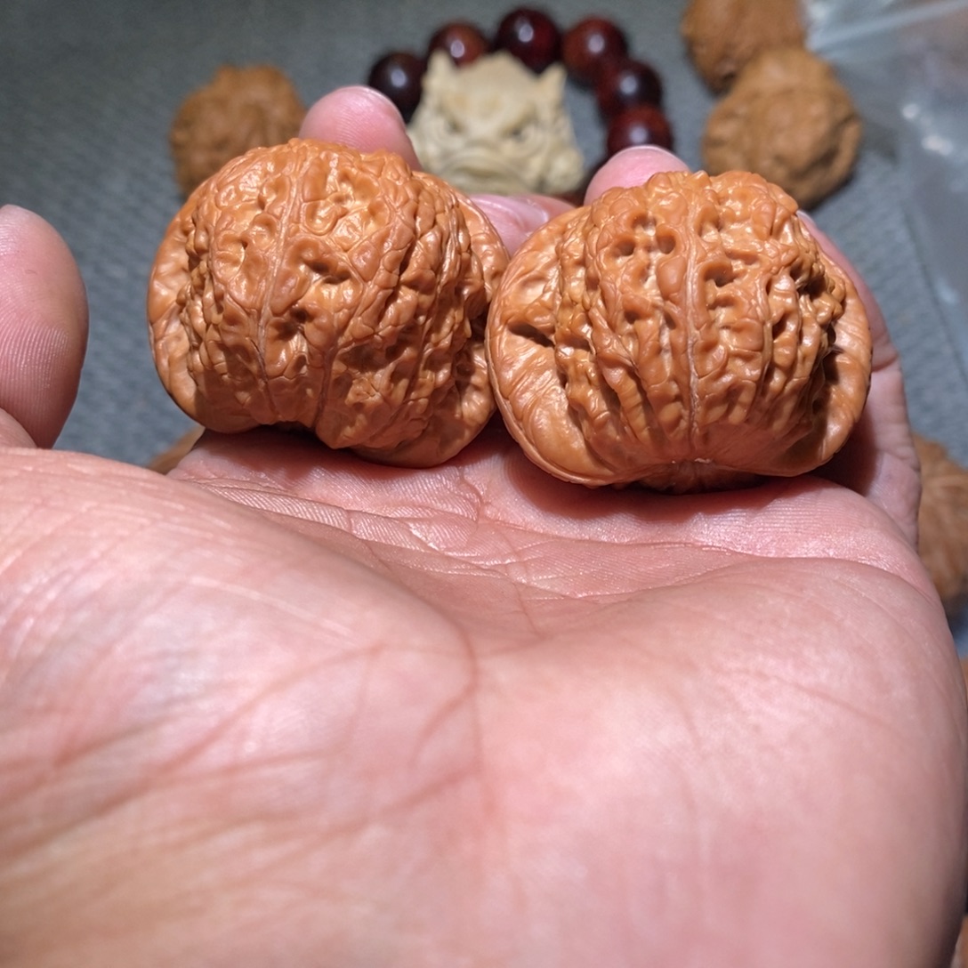 顽***主血麒麟。              