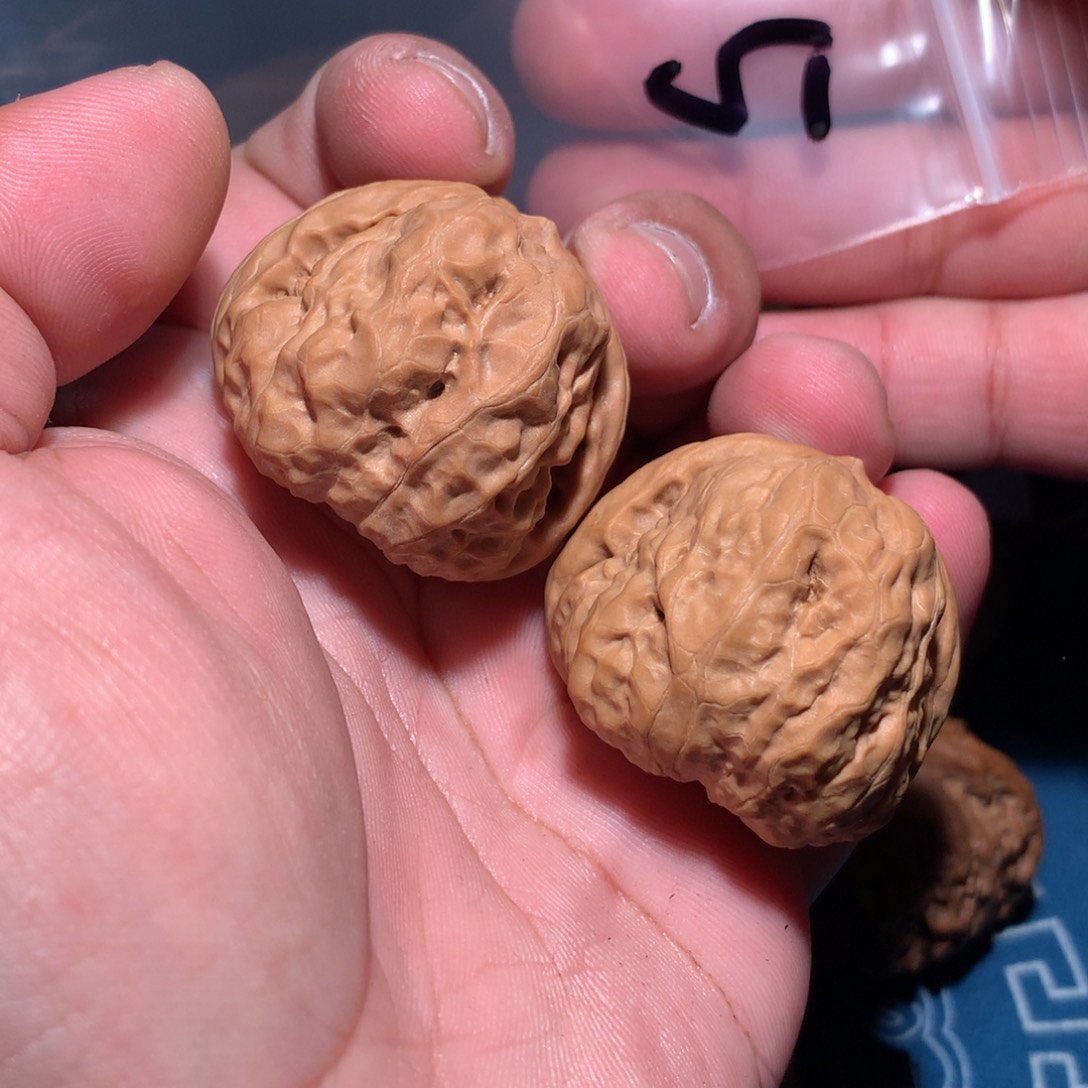 文玩核桃吊坠蛤蟆 5 