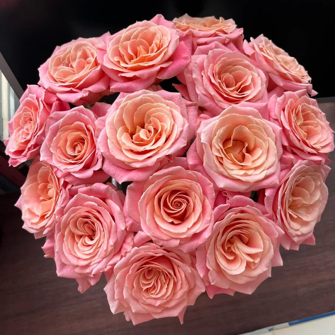 【猪小姐玫瑰】斗南鲜花云南直发玫瑰鲜花两单京东冷链包邮