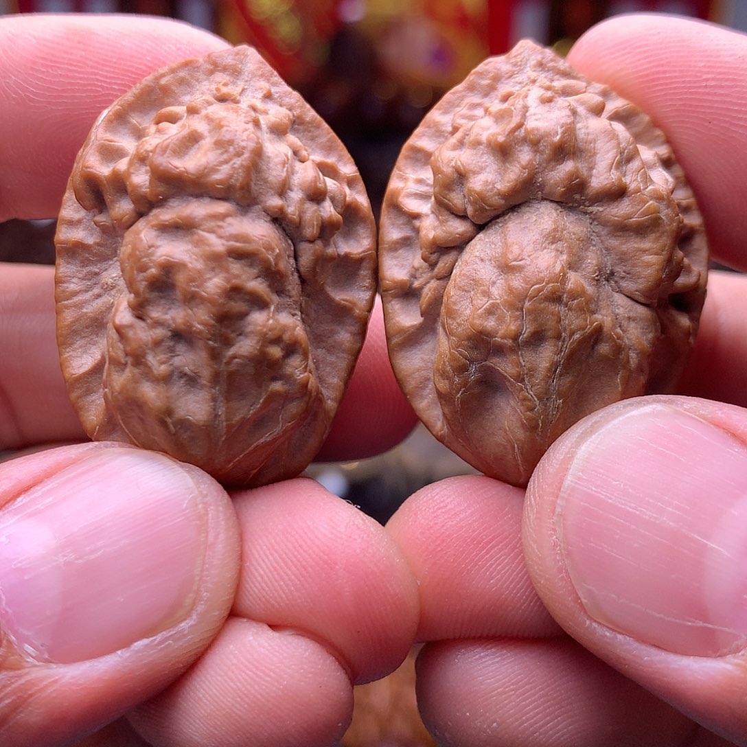 文玩核桃把件东北楸子