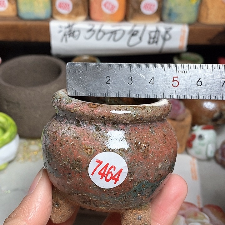 红陶拍5送一个小