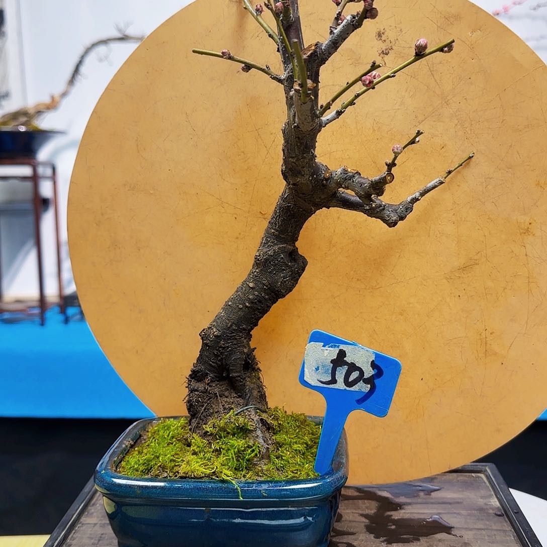 无铅玻璃万**山s f v b n m m