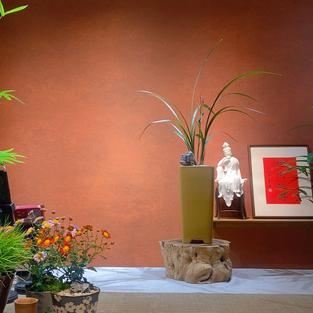 C****无花朵老桩精品竹盆景作品