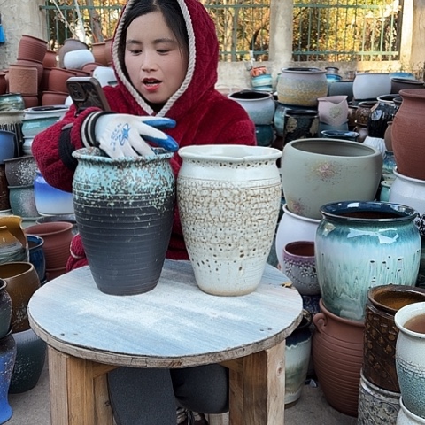 口17高25盆子盆子 