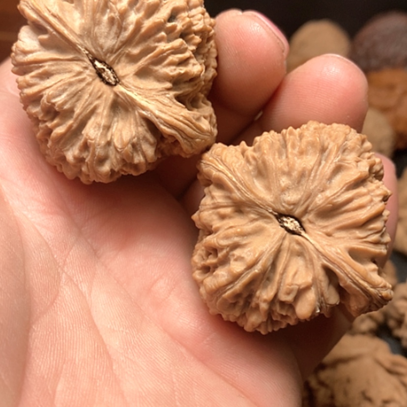 【闪购商品】無*南疆石