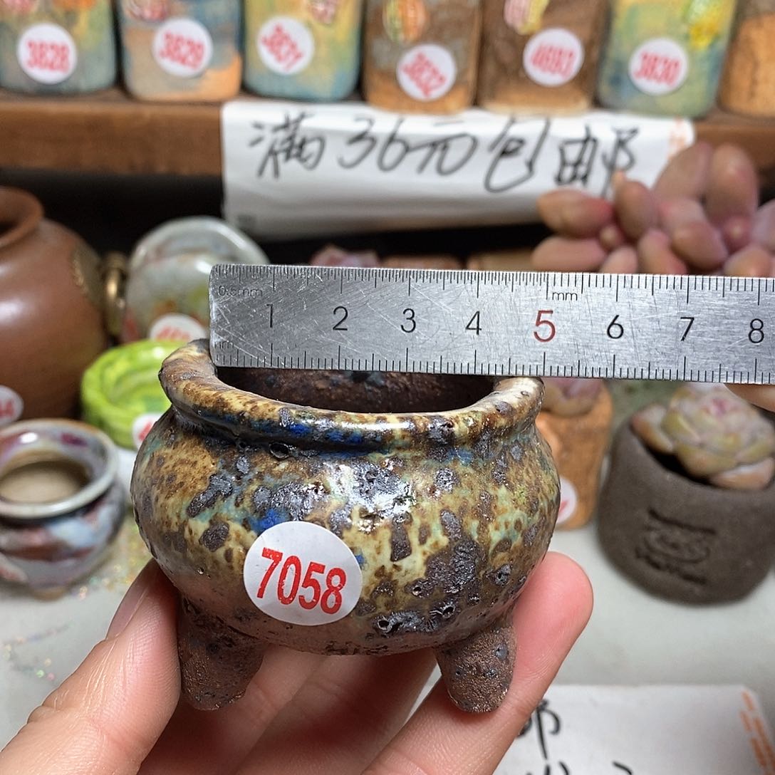 红陶拍5送一个小