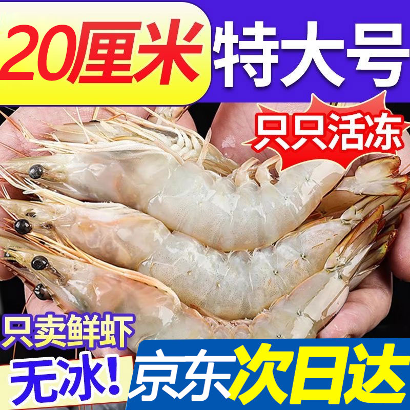 【地标甄选 溯源可查】超大明虾