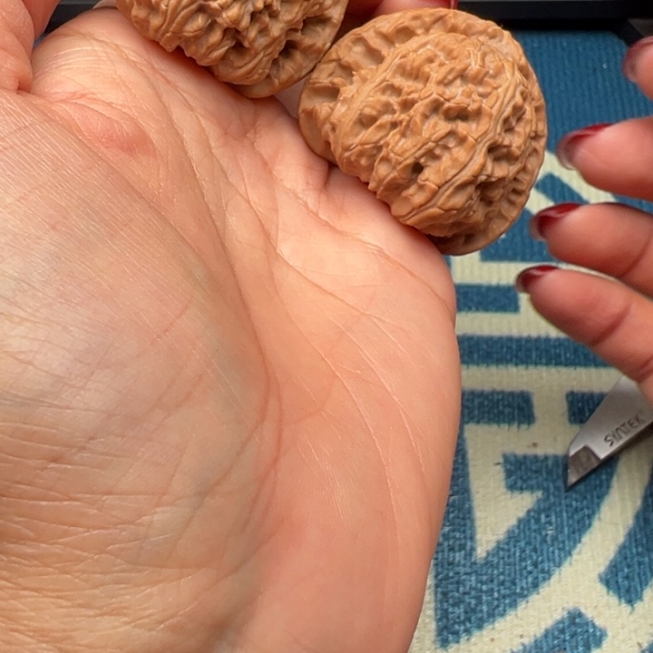 桃核吊坠文玩白狮子43