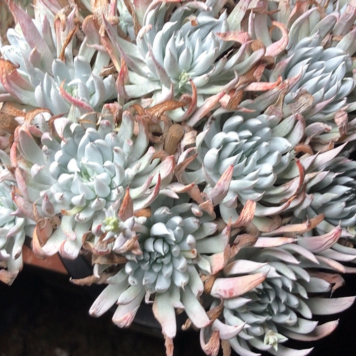 潮*408//////////////