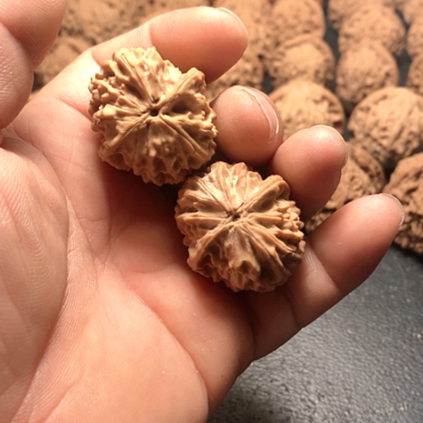 【闪购商品】普*龙眼