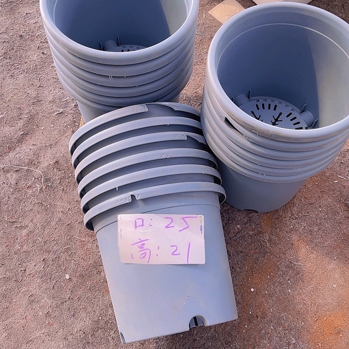 树脂雪花4号25口径蓝色6个