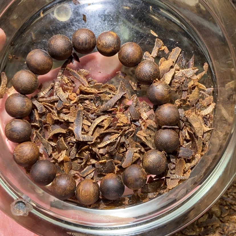 【闪购商品】沉香手串强*棋楠沉香手串单圈