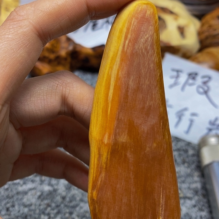 柏木（崖柏）崖柏179