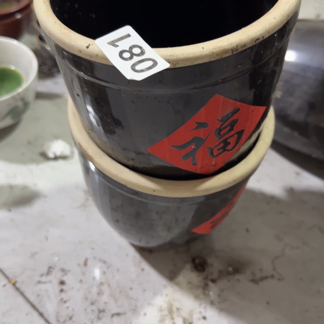茶盏好想和您聊聊我也