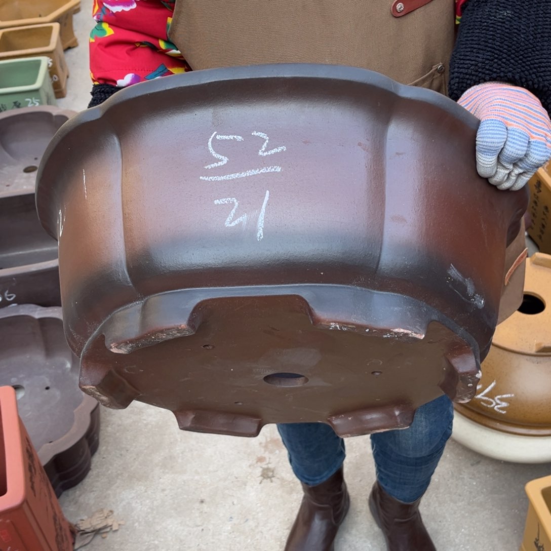 紫砂花盆盆景艺术