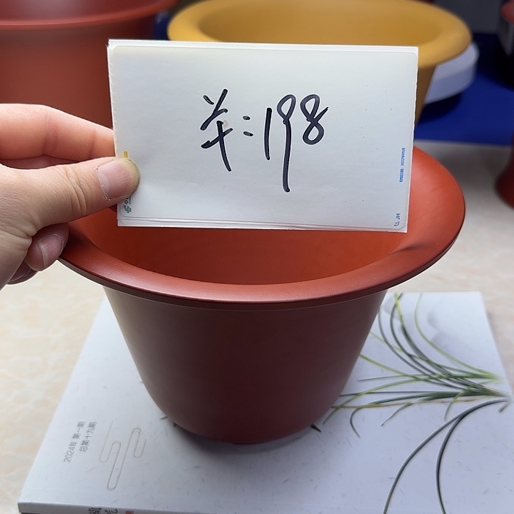 春秋花盆精品兰盆