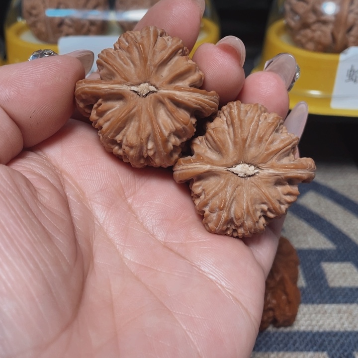 文玩核桃把件波*夫白狮子38