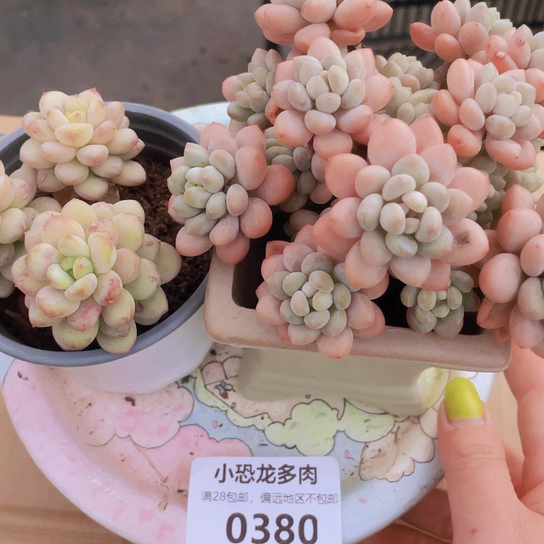 0380组合～不说这些就不要