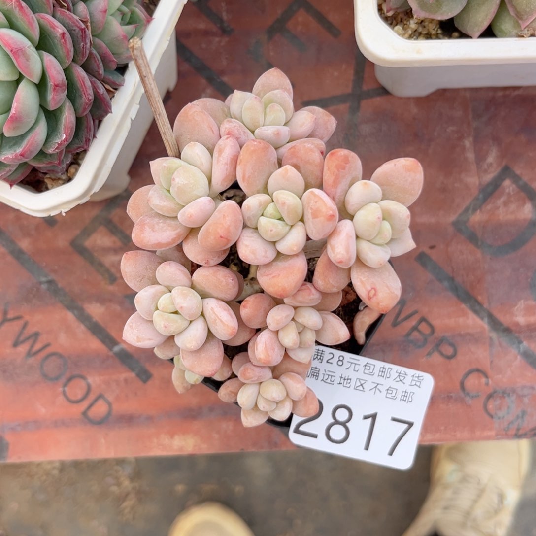 你2817、g xv vb n