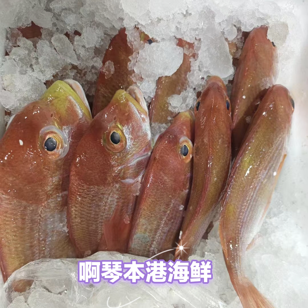 （就船咸红立.刹涩）汕尾马宫本港双拖   红立鱼  刹涩