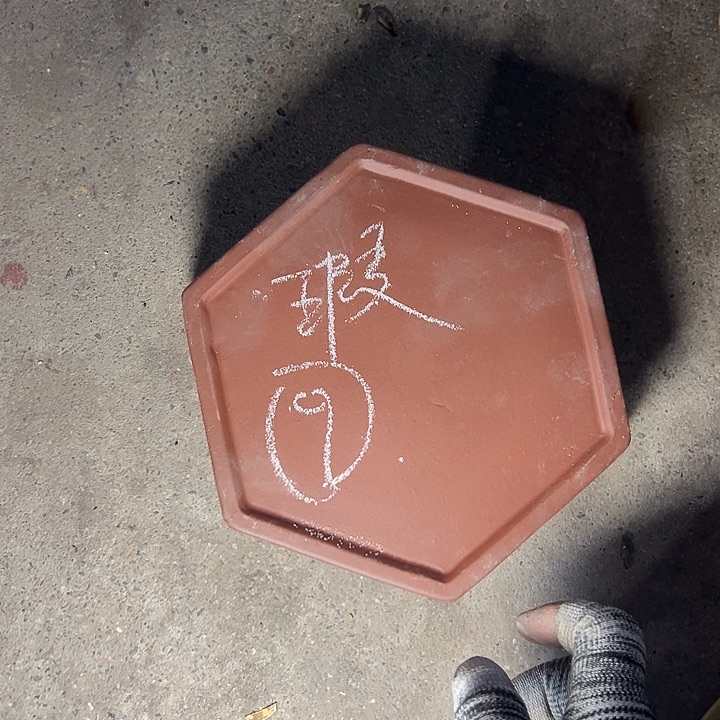 風****8周三周四正式收治啧啧啧 