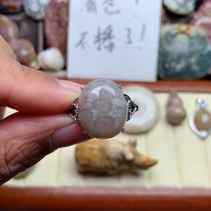 硅化珊瑚（珊瑚玉）颈饰未镶嵌美***雁